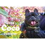 【予約販売】 フレンチブルドッグ犬 ココ 2024年 壁掛け カレンダー KK24030