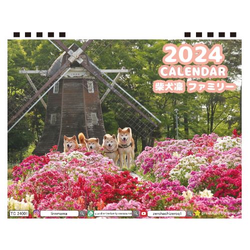 【予約販売】 柴犬 LINNファミリー 2024年 卓上 カレンダー TC24303