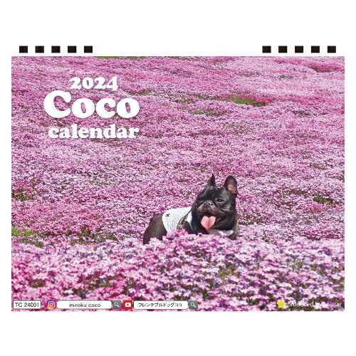 【予約販売】 フレンチブルドッグ犬 ココ 2024年 卓上 カレンダー全面 TC24031