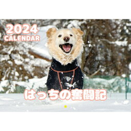 【予約販売】 ゴールデンレトリバー犬 はっちの奮闘記 2024年 壁掛け カレンダー KK24077