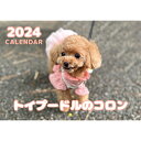 【予約販売】 トイプードル犬のコロン 2024年 壁掛け カレンダー KK24008