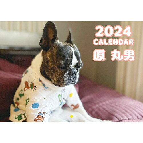 【予約販売】 フレンチブルドッグ犬 原 丸男 2024年 壁掛け カレンダー KK24081