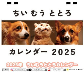 【予約販売】 コーギーと猫のちい むう ととろ 2025年 ECO卓上全面 カレンダー TC25111