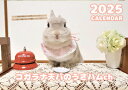 【予約販売】 うさぎのコガラナ天パのうさハムch 2025年 壁掛け カレンダー KK25169(3)