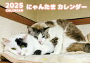 【予約販売】 猫のにゃんたま 2025年 壁掛け カレンダー KK25018