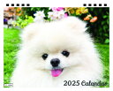 【予約販売】 犬のポテチ 2025年 卓上全面 カレンダー TC25180(3)