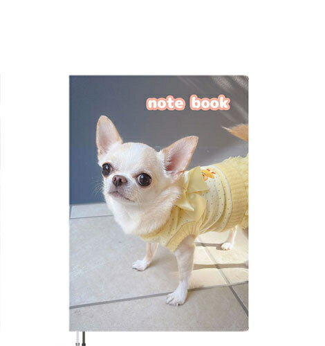 【予約販売】 チワワのクリム 2025年 犬 A5ノート帳 No25328