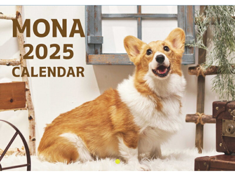 【予約販売】 コーギー犬 モナ 2025年 壁掛け カレンダー KK25349