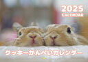 【予約販売】 うさぎの毎日がかんぺい 2025年 壁掛け カレンダー KK25055