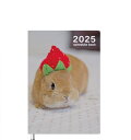 【予約販売】 うさぎの毎日がかんぺい 2025年 A5スケジュール帳 A525058