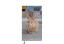 【予約販売】 うさぎの毎日がかんぺい 2025年 ポケットスケジュール帳 PO25059