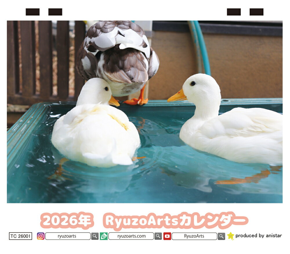 【予約販売】 Ryuzo Arts アヒル 2026年 卓上カレンダー TC26100