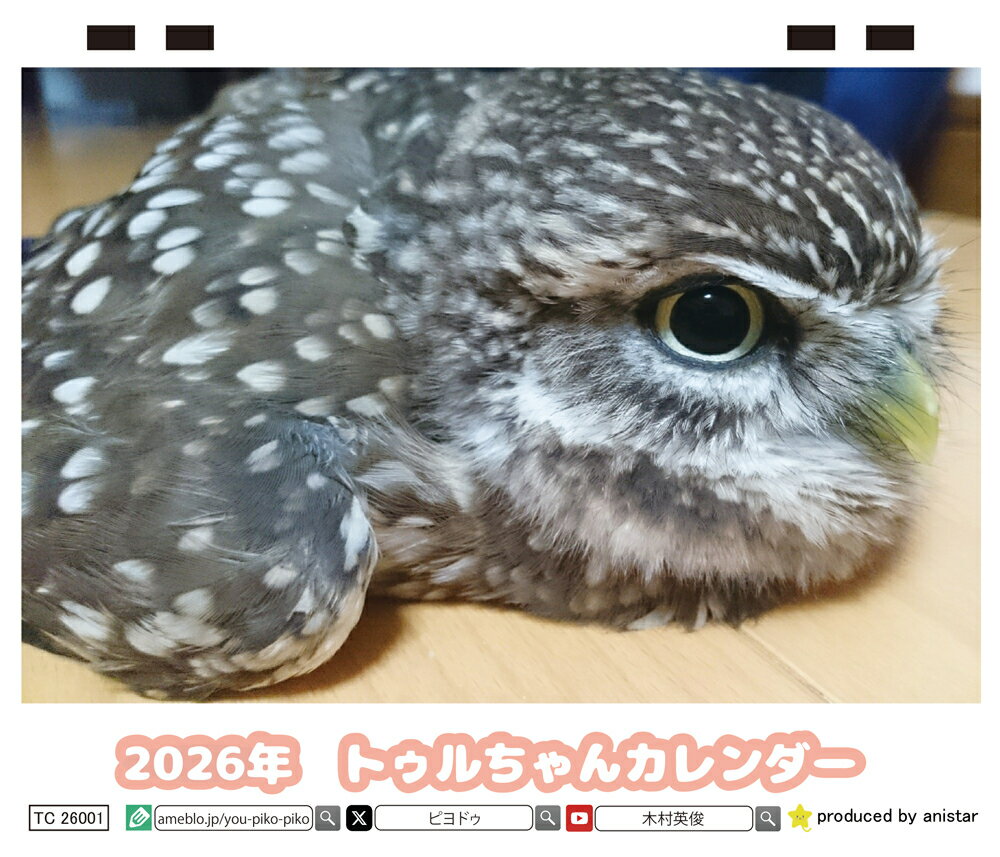 【予約販売】 ふくろうのトゥルちゃん 2026年 卓上カレンダー TC26108