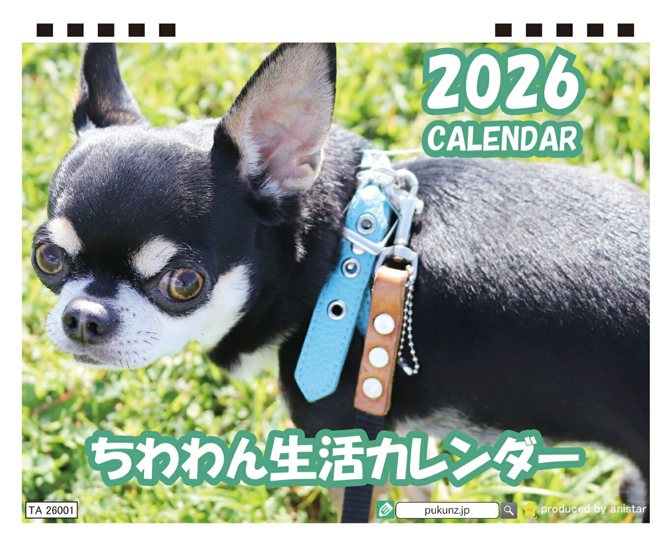 【予約販売】 ちわわん生活 チワワ 犬 2026年 卓上カレンダー TA26141
