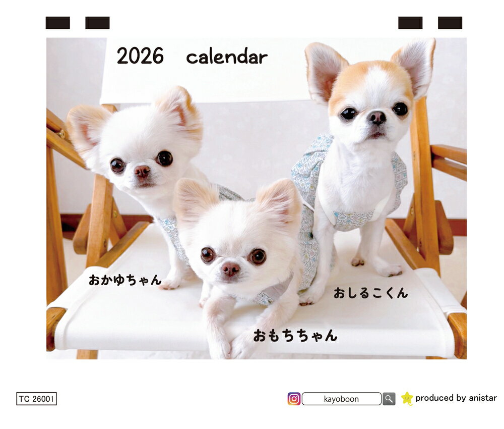 【予約販売】 おもちちゃん＆おかゆちゃん＆おしるこくん チワワ 犬 2026年 卓上カレンダー TC26189