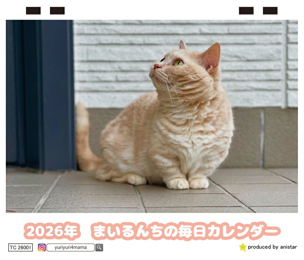 【予約販売】 まいるんちの毎日 猫 2026年 卓上カレンダー TC26234