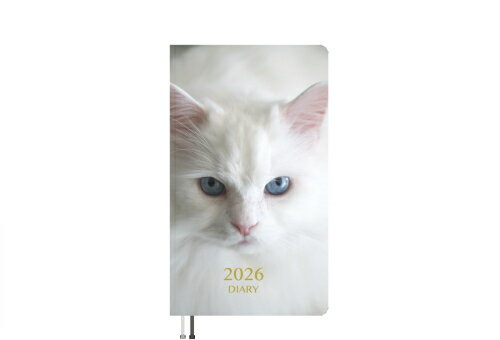 【予約販売】 あつまれちいかまの森 猫 2026年 ポケットスケジュール帳 PO26269