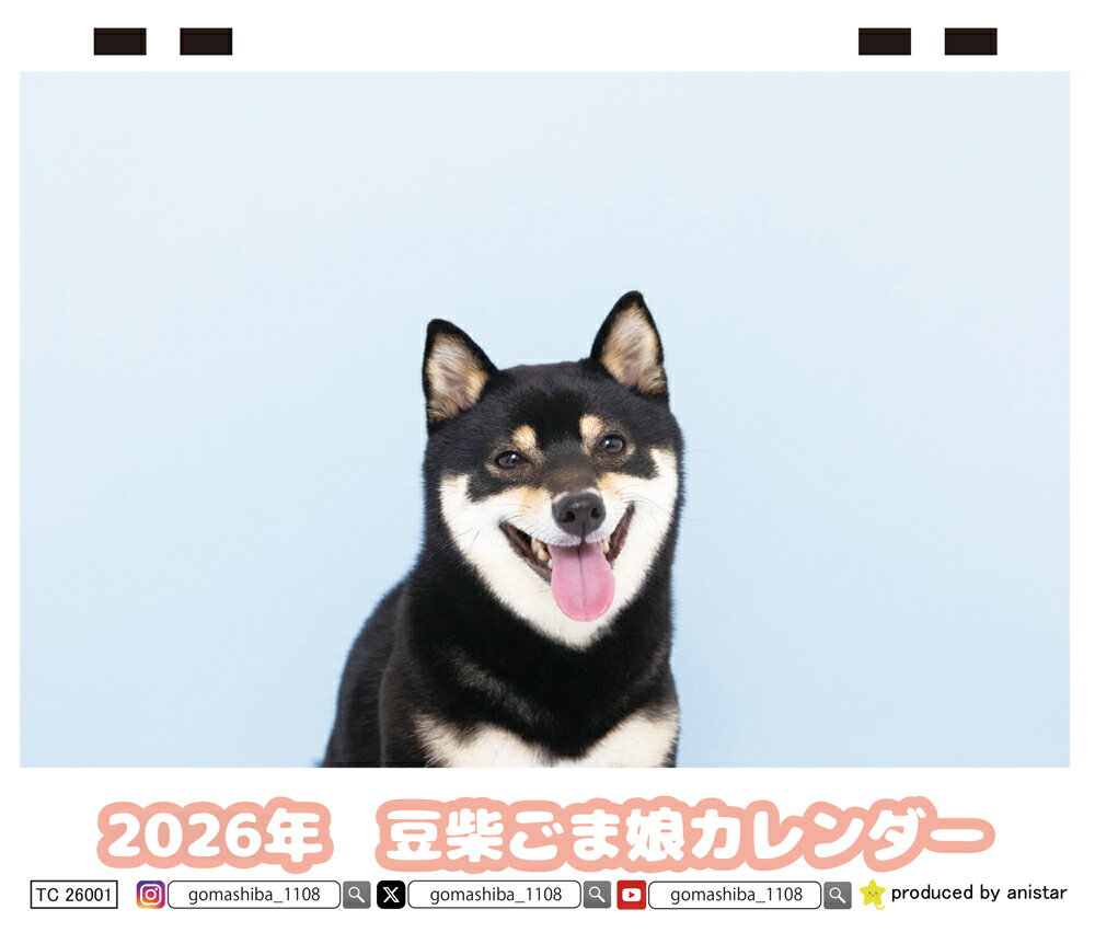 【予約販売】 豆柴ごま娘 犬 2026年 卓上 カレンダー TC26316