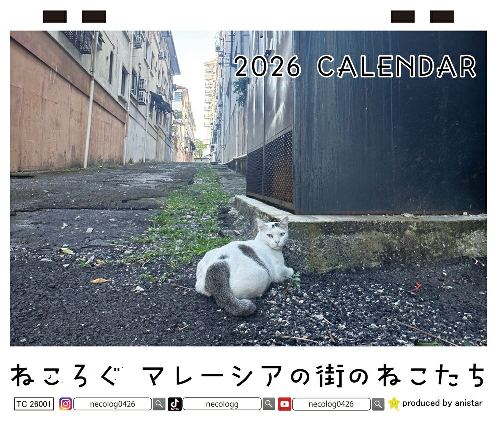 【予約販売】 ねころぐ マレーシアの街のねこたち 猫 2026年 卓上 カレンダー TC26320