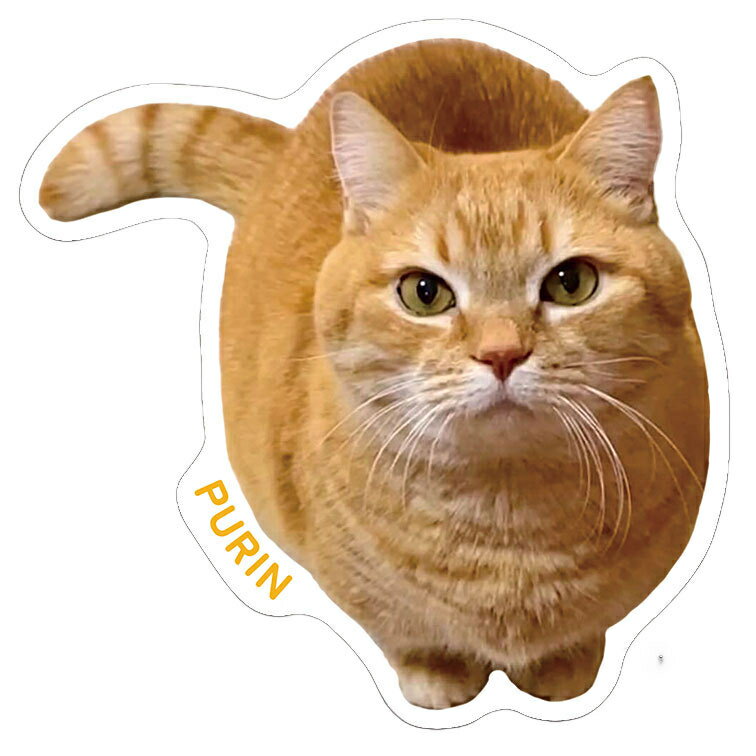 【予約販売】 短足マンチカンのプリンとメル 猫 ステッカー 3枚セット SU024NN