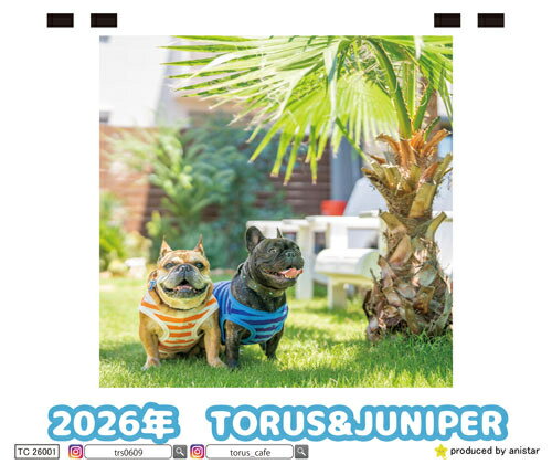 【予約販売】 フレンチブルドッグ torus トーラス 犬 2026年 卓上 カレンダー TC26035