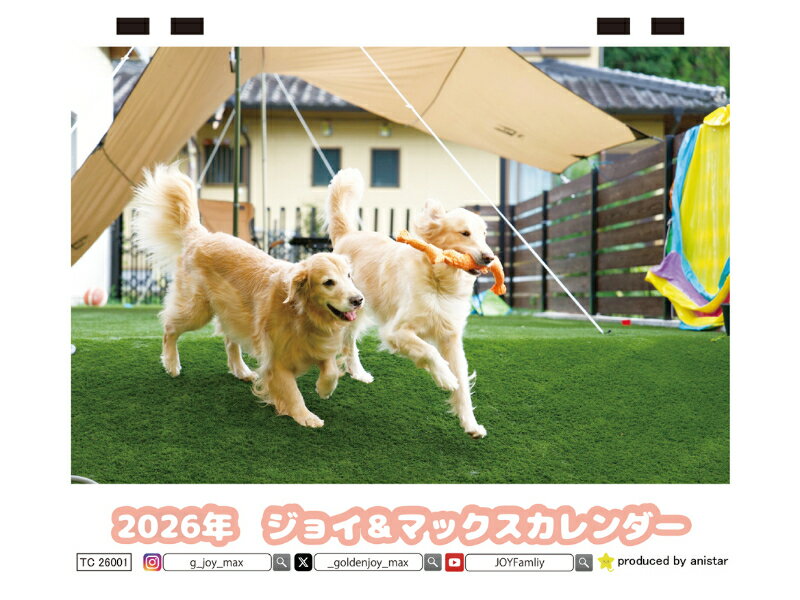 【予約販売】 ジョイ＆マックス 犬 2026年 卓上 カレンダー TC26324