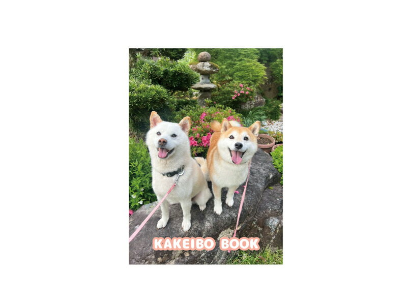 【予約販売】 柴犬みかん園ファミリー 2026年 家計簿 CA007NN