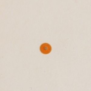 【送料無料】ruota minuti minute wheel 260 mst 422