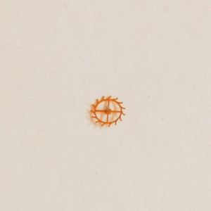 【送料無料】ruota scappamento escapement wheel 705 mst 422 【送料無料】ruota scappamento escapement wheel 705 mst 422