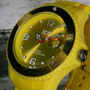 【送料無料】ice watch