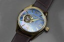 【送料無料】aragon a101gld ca open heart 49mm watch