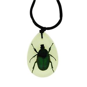 ̵ۥͥå쥹֥å顼ӥ쥯the olivia collection brille dans le noir insecte collier avec vritable vert