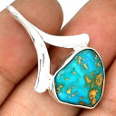 【送料無料】ネックレス ターコイズトルコペンダントシルバーpendentif turquoise monture en argent 925 ref 3814