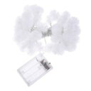 【送料無料】ネックレス ×スノーフレーククラスタ3x4m grappe de leds avec 40 leds en forme de flocon de neige blanche o5r9