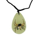 yzlbNX@NRNVthe olivia collection phosphorescent insecte collier avec vrai pineux araigne