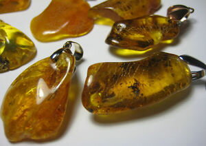 yzlbNX@_IWOob`lot de 10 alatoire ambre baltique vritable pendentif~ poids total 4042gr
