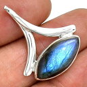 【送料無料】ネックレス ペンダントマウントシルバーpendentif protection labradorite monture argent 925 ref 4926(4)