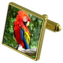 yzYANZT?@RSECRIEJtX{^NX^^CNbvZbgscarlet macaw parrot goldtone cufflinks crystal tie clip gift set