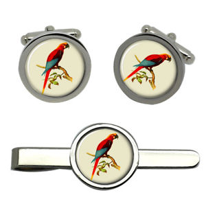 【送料無料】メンズアクセサリ—　ラウンドタイクリップセットmacaw round cufflink and tie clip set