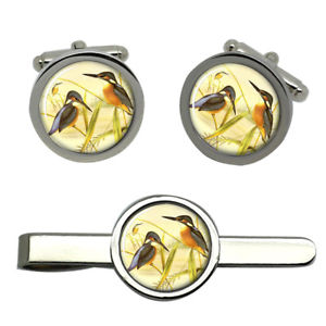 【送料無料】メンズアクセサリ—　カワセミラウンドタイクリップセットkingfisher round cufflink and tie clip set