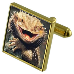 ̵ۥ󥺥ꡡɥ饴󥫥եܥ󥯥ꥹ륿åץåbearded dragon goldtone cufflinks crystal tie clip gift set