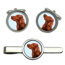 【送料無料】メンズアクセサリ— アイリッシュレッドセッタータイクリップセットirish red setter dog round cufflink ...