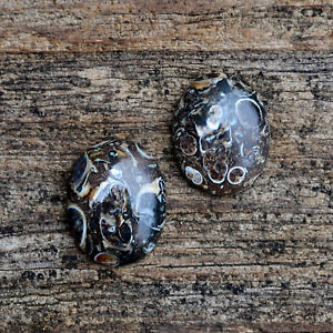 メンズアクセサリ—　メノウカフスボタンturritella snail shell agate cufflinks strength and protection