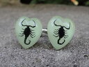 【送料無料】メンズアクセサリ- ダークスコーピオンカフリンクスバグglow in the dark scorpion cufflinks bug wildlife nature animal iridescent