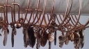 【送料無料】ブレスレット アクセサリ- アレックスブレスレットロシアゴールドシルバーalex and ani places we love expandable bracelets russian gold silver nwt 34