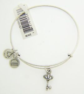 【送料無料】ブレスレット　アクセサリ—　アレックスシルバースケルトンキーブレスレット alex and ani skeleton key charm bracelet with silver finish 120