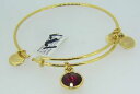 yzuXbg@ANZT?@AbNXK[lbgAJEgZ^[n[guXbg alex and ani garnet january account center heart bracelet