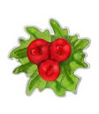 【送料無料】ブレスレット アクセサリ— エナメルヒイラギシルバーミントpastiche lovelinks enamel holly te028 in silver mint(4)