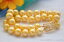 ̵ۥ֥쥹åȡꡡǥѡ֥쥹åz5565 a 2row 8 12mm round golden freshwater pearl bracelet