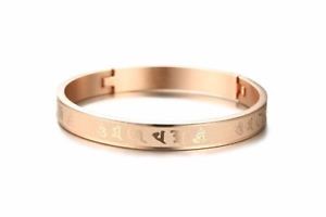 【送料無料】ブレスレット　アクセサリ—　ニューステンレスブレスレットb969women rose gold plated design stainless steel adjustable bracelet b969